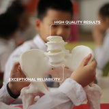 Panchroma™ Basic PLA